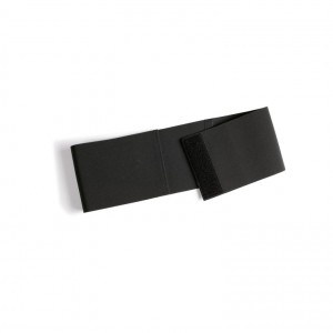 Fascia Elastica